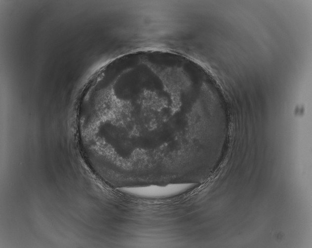 X0000093761359200711061101