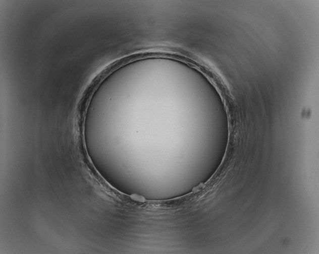 X0000093761360200711061101