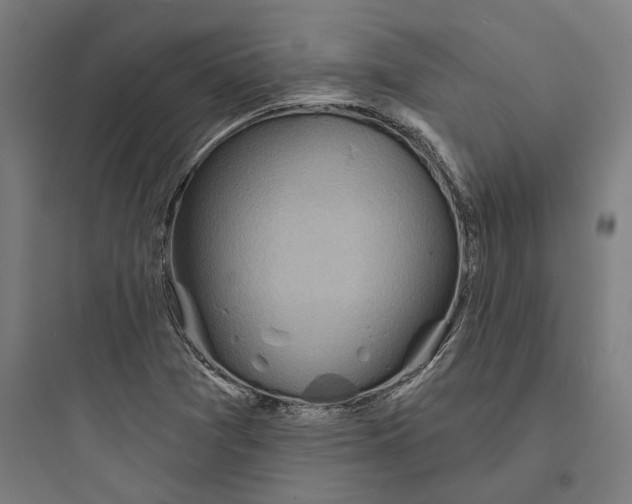 X0000093761361200711061101