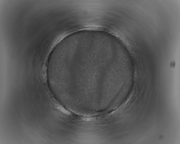 X0000093761362200711061101