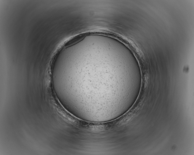 X0000093761363200711061101