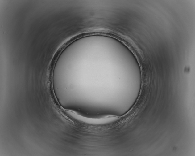 X0000093761364200711061101