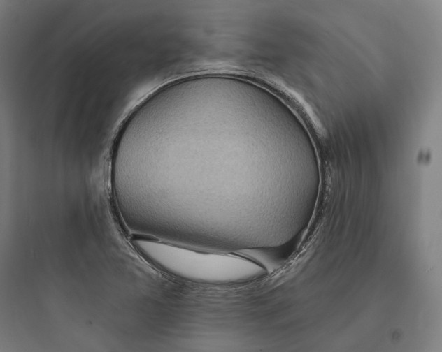 X0000093761365200711061101