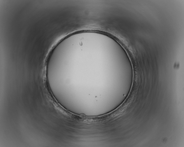 X0000093761366200711061101