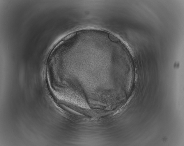 X0000093761367200711061101