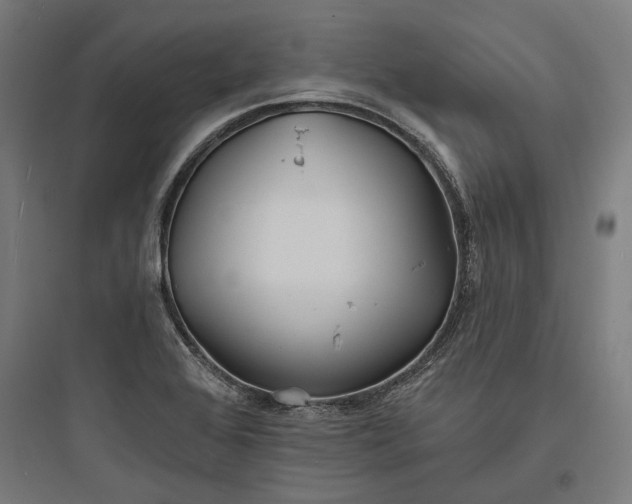 X0000093761368200711061101