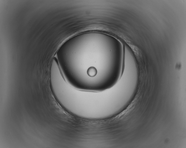 X0000093761369200711061101