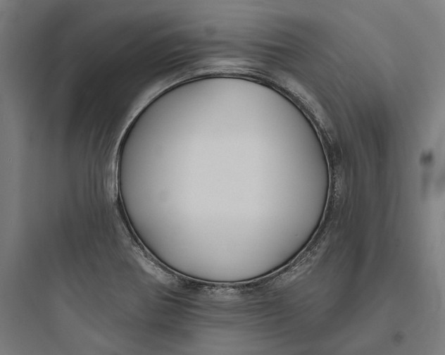 X0000093761370200711061101