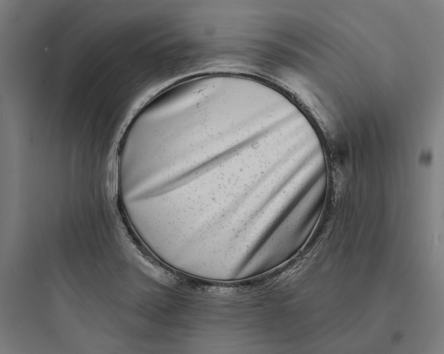 X0000093761371200711061101