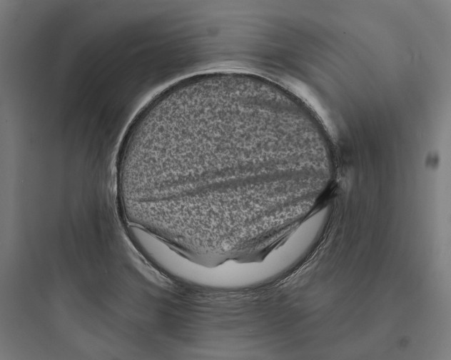 X0000093761372200711061101