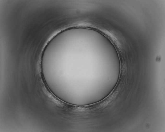 X0000093761374200711061101