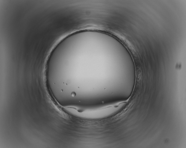 X0000093761375200711061101