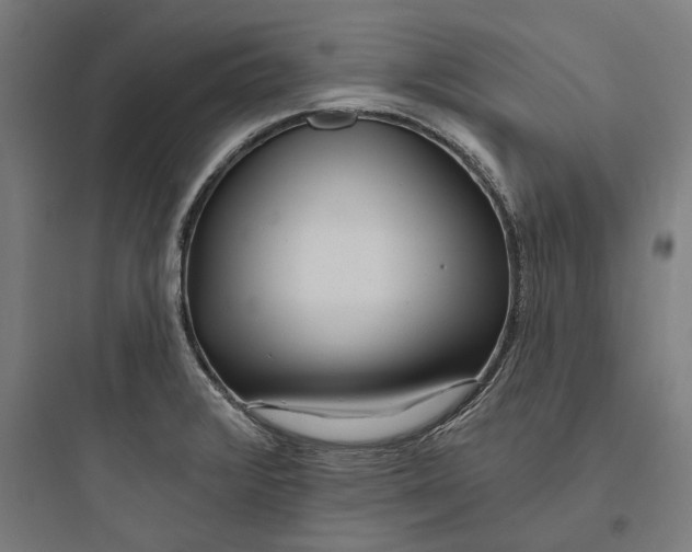 X0000093761376200711061101