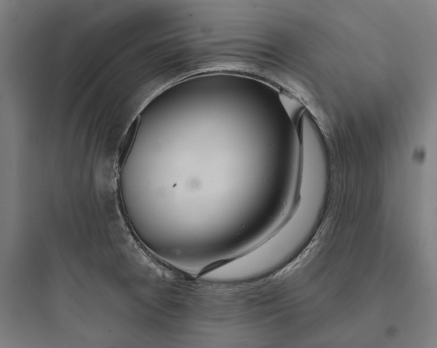 X0000093761377200711061101