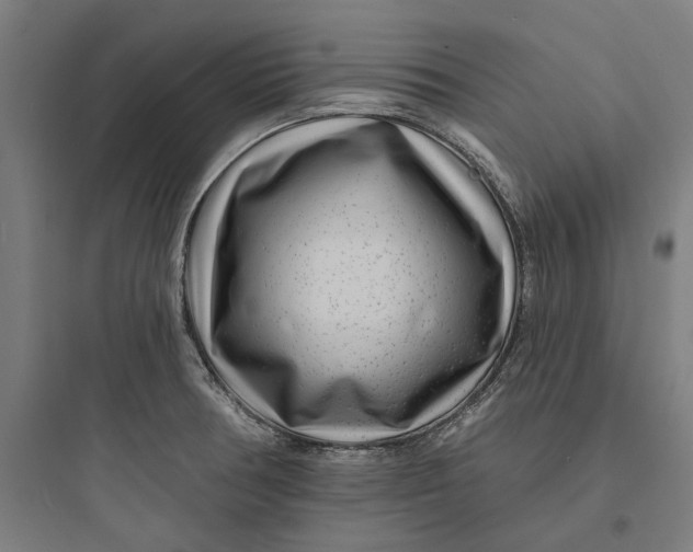 X0000093761378200711061101