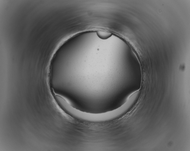 X0000093761379200711061101