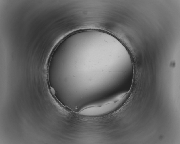 X0000093761380200711061101