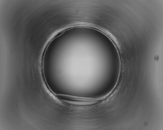 X0000093761381200711061101