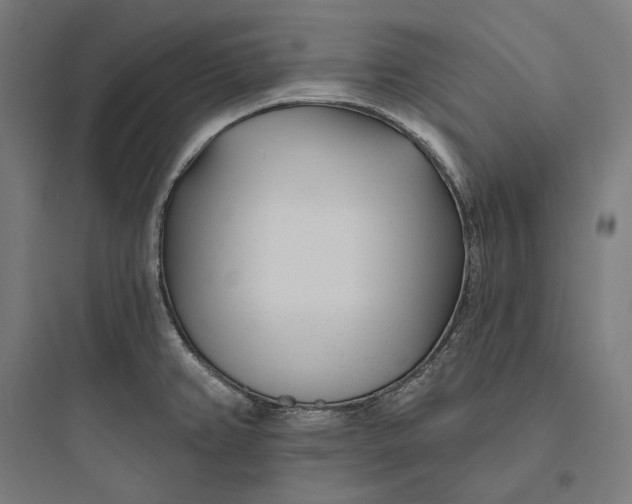 X0000093761382200711061101