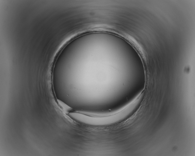 X0000093761384200711061101