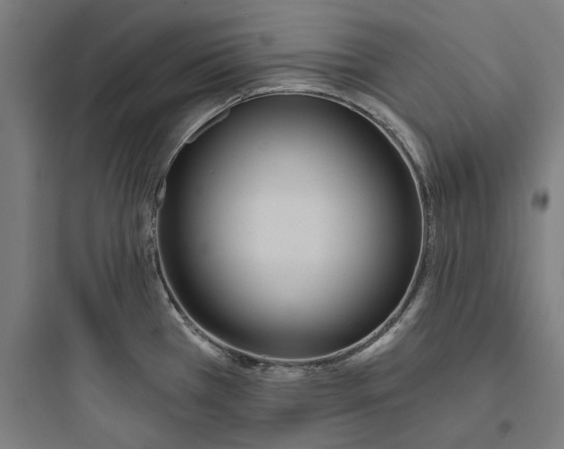 X0000093761385200711061101