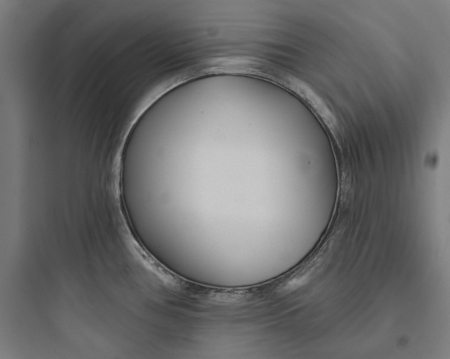 X0000093761386200711061101