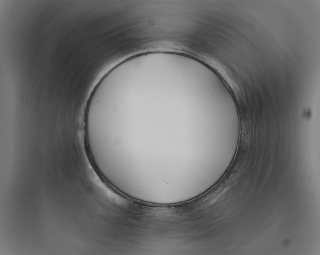 X0000093761387200711061101