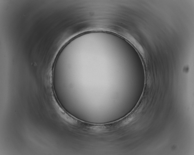 X0000093761388200711061101