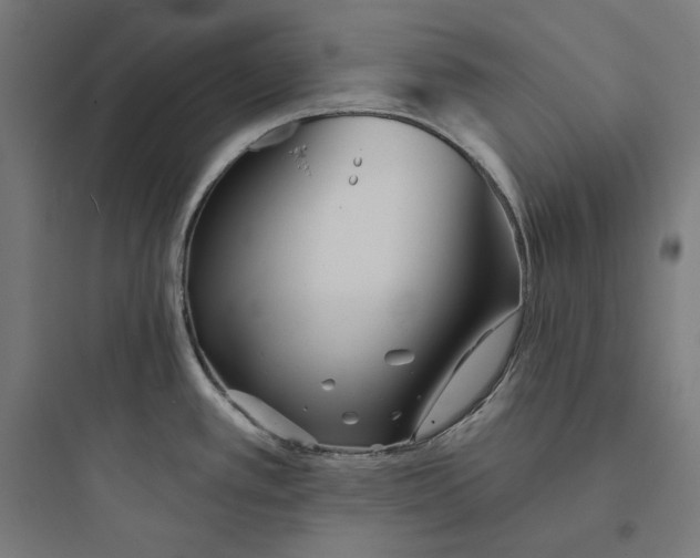 X0000093761389200711061101