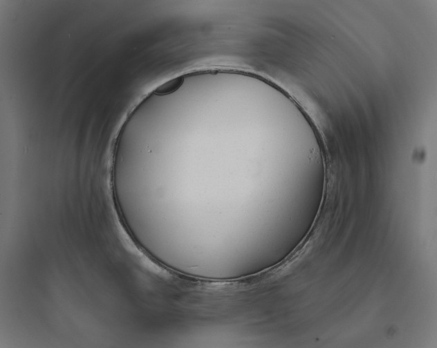 X0000093761390200711061101