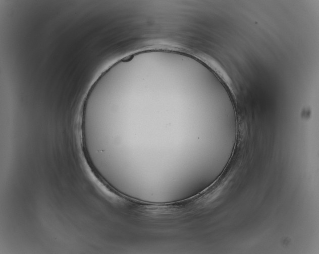 X0000093761391200711061101