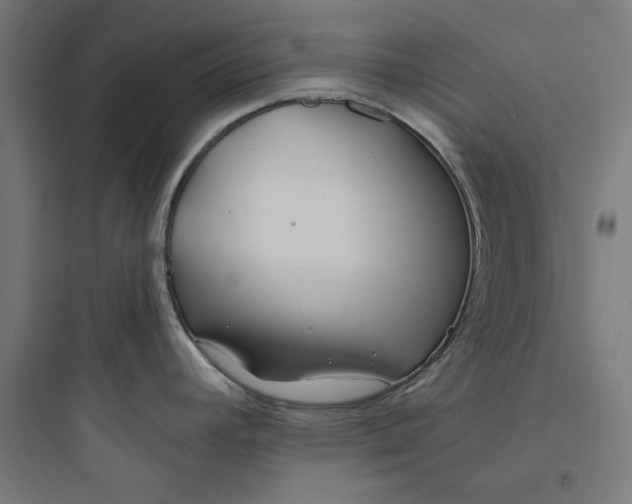 X0000093761392200711061101