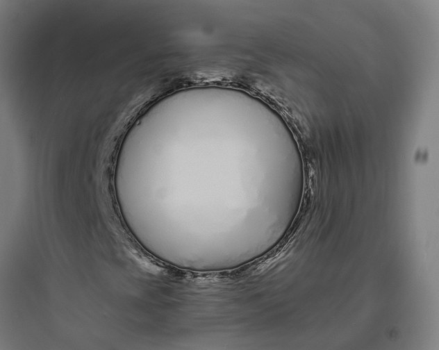 X0000093761393200711061100