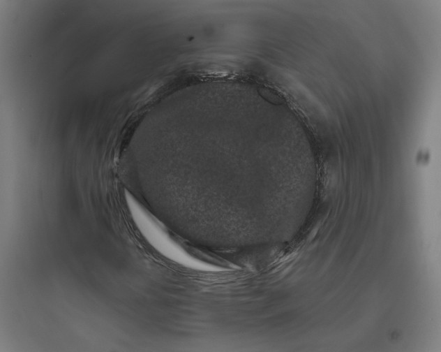 X0000093761394200711061100