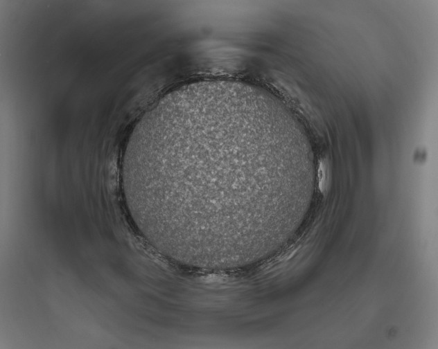 X0000093761395200711061100