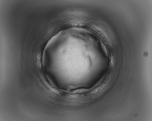 X0000093761396200711061100