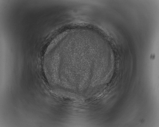 X0000093761397200711061100