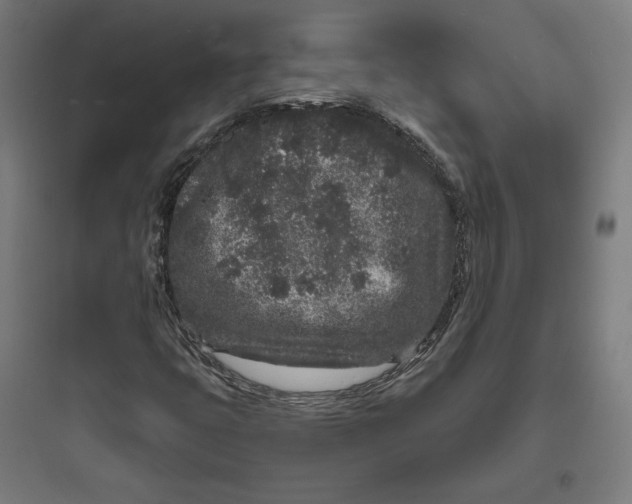 X0000093761399200711061100