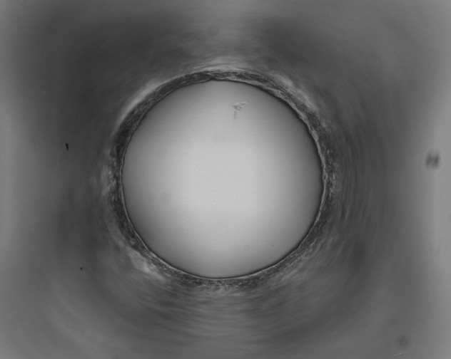 X0000093761400200711061100