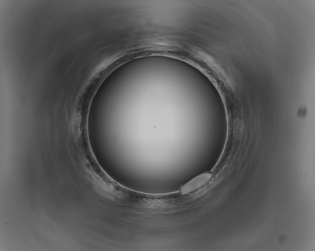 X0000093761402200711061100