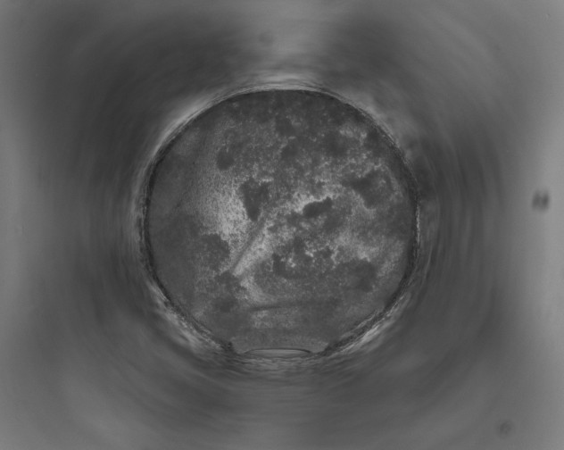 X0000093761405200711061100