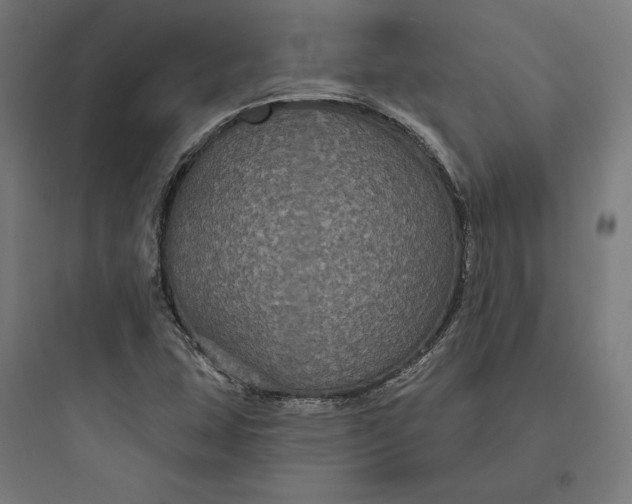 X0000093761407200711061100