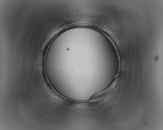 X0000093761410200711061100