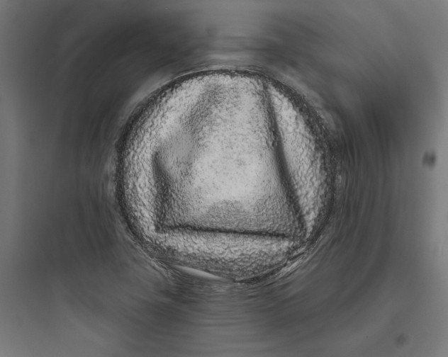 X0000093761411200711061100