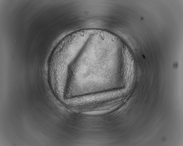 X0000093761419200711061100