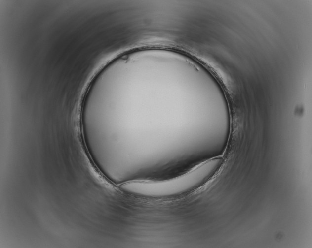 X0000093761421200711061100