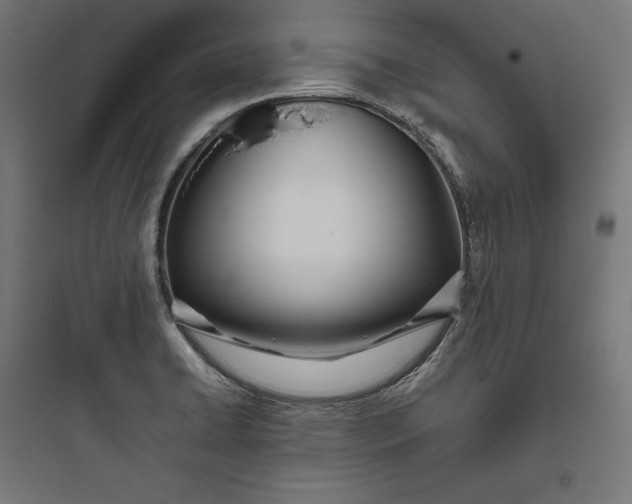 X0000093761422200711061100