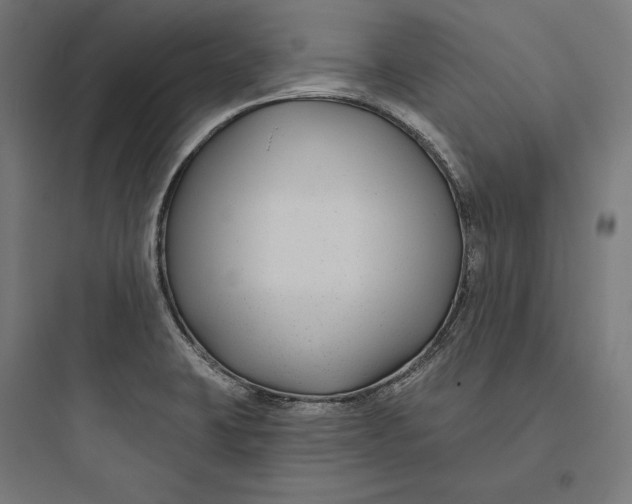 X0000093761423200711061100