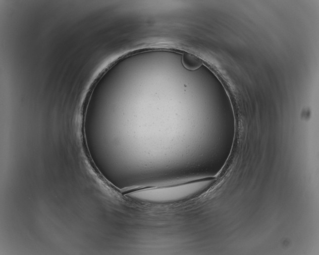 X0000093761424200711061100