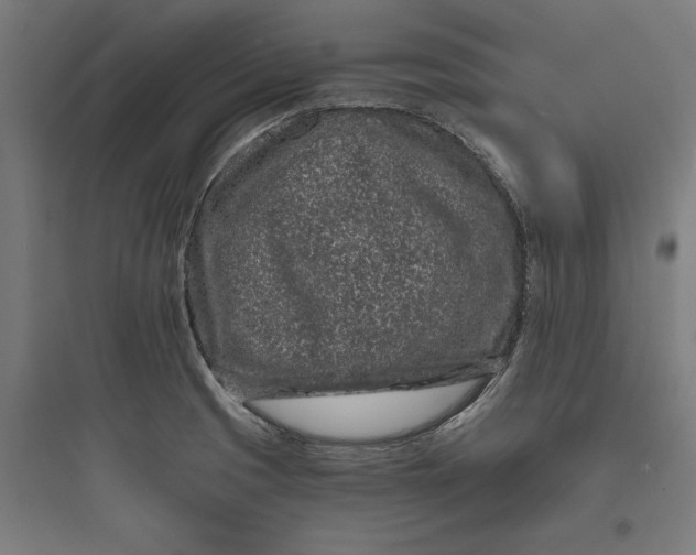 X0000093761425200711061100